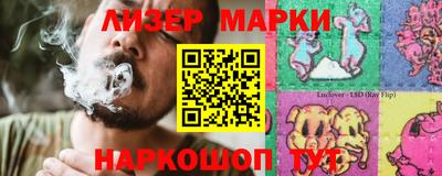 крисы Новокубанск