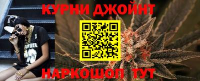 крисы Новокубанск