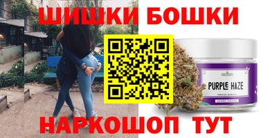 крисы Новокубанск