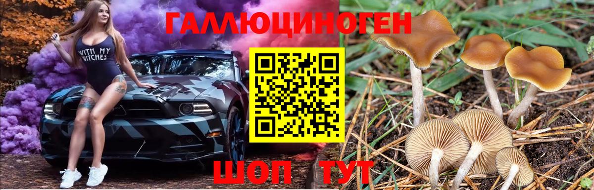 Благовещенск  Галлюциногенные грибы Psilocybine cubensis  Вход с VPN  Галлюциногенные грибы Magic Shrooms 