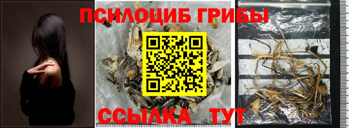 Галлюциногенные грибы мицелий Благовещенск